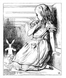Alice and rabbit